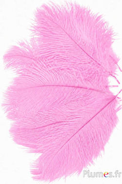 Struisvogel  - 13-18 cm - lichtroze